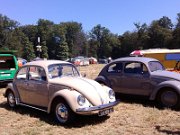 Beetle Show Rioz (34)